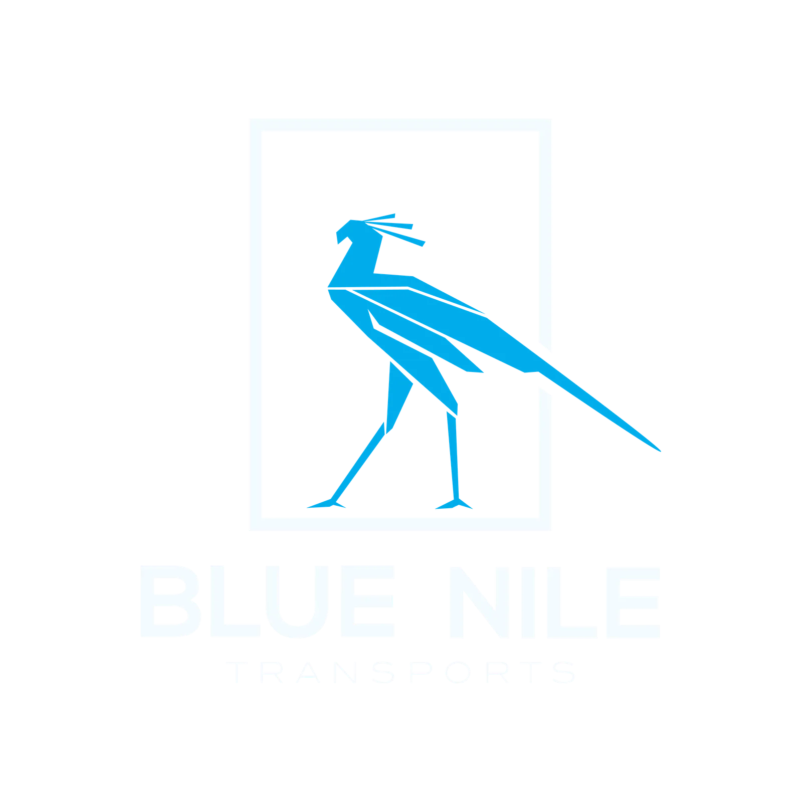 Blue Nile Transports logo